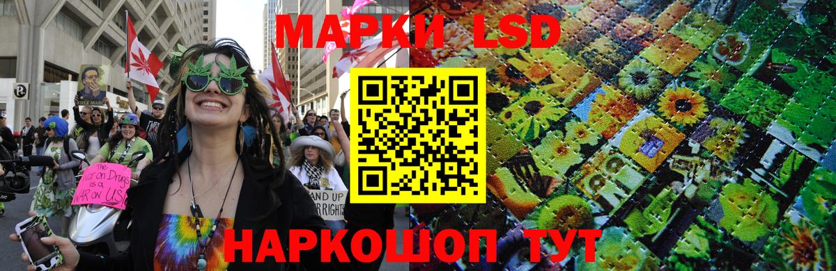 Чусовой  Наркотические марки 1,5мг  где найти наркотики  Наркотические марки  Вход с VPN  Наркотические марки 1,5мг 