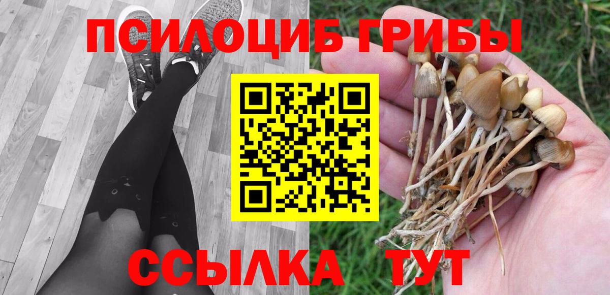 Чусовой  Галлюциногенные грибы Psilocybe  Вход с VPN 